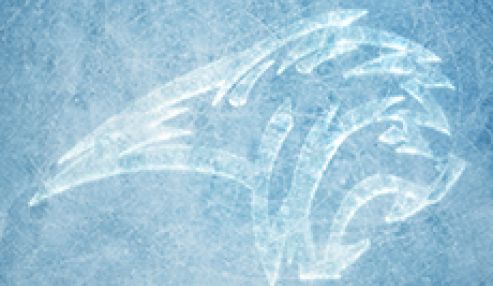 5 signs your adhesive is too cold... and how to fix it!