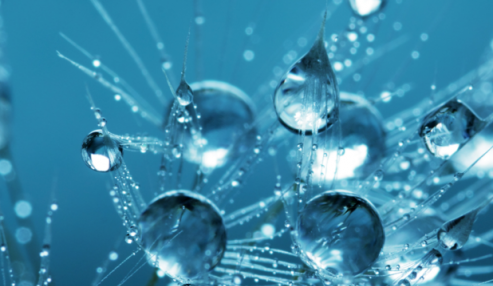 Research & Development: The Definition of Innovation From  the Spray Adhesive Experts